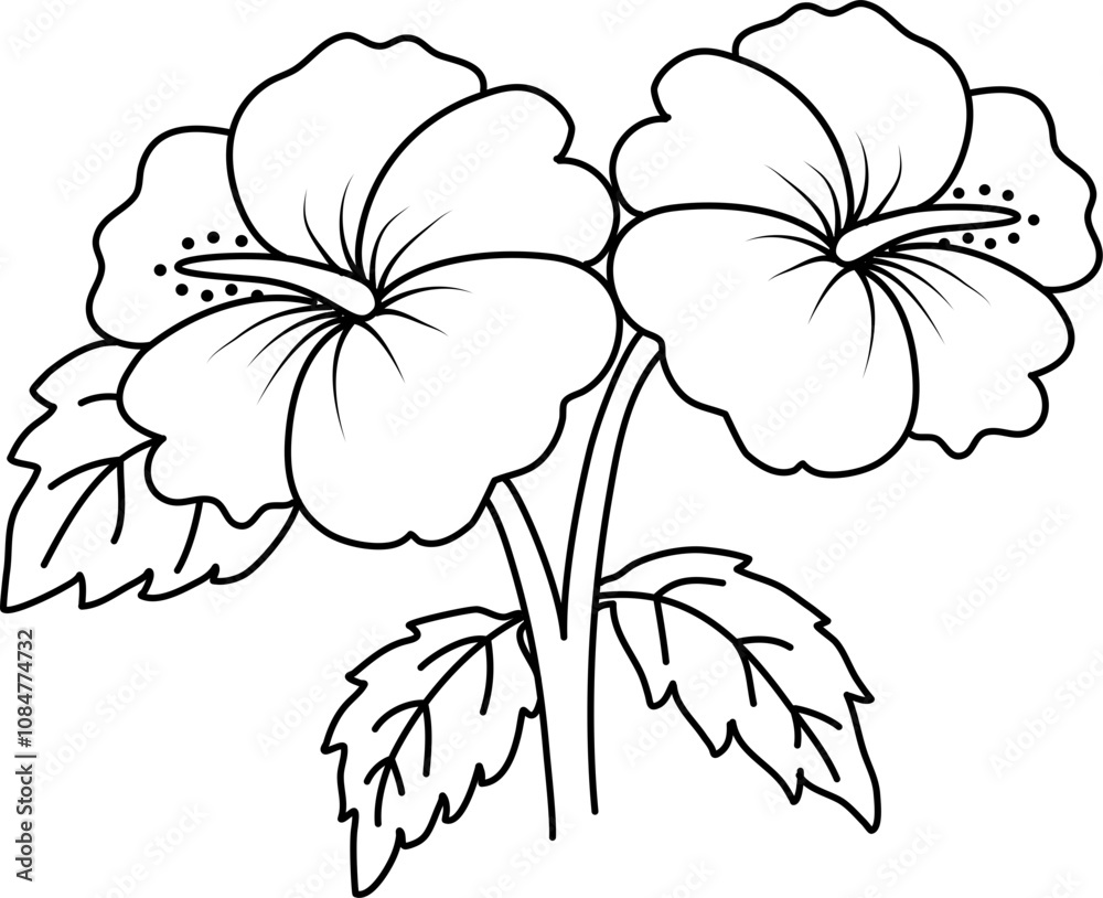 Hibiscus flower line art Hibiscus flower line art