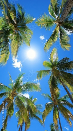 A breathtaking low angle shot of the blue sky with palm tress