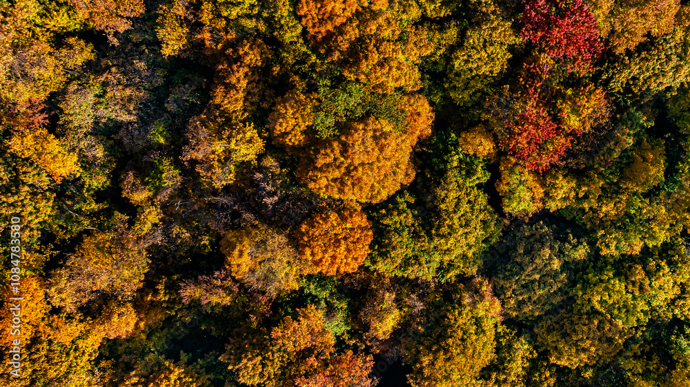 Late afternoon aerial autumn image of the top of trees in upstate New York. Late afternoon aerial autumn image of the top of trees in upstate New York.