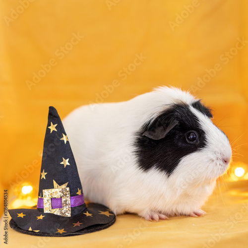 Halloween guinea pig