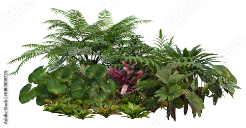 Fototapeta Naklejka Na Ścianę i Meble -  3d render small garden with tropical plants on transparent background