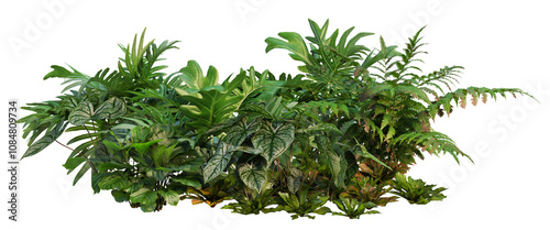 3d render small garden with tropical plants on transparent background