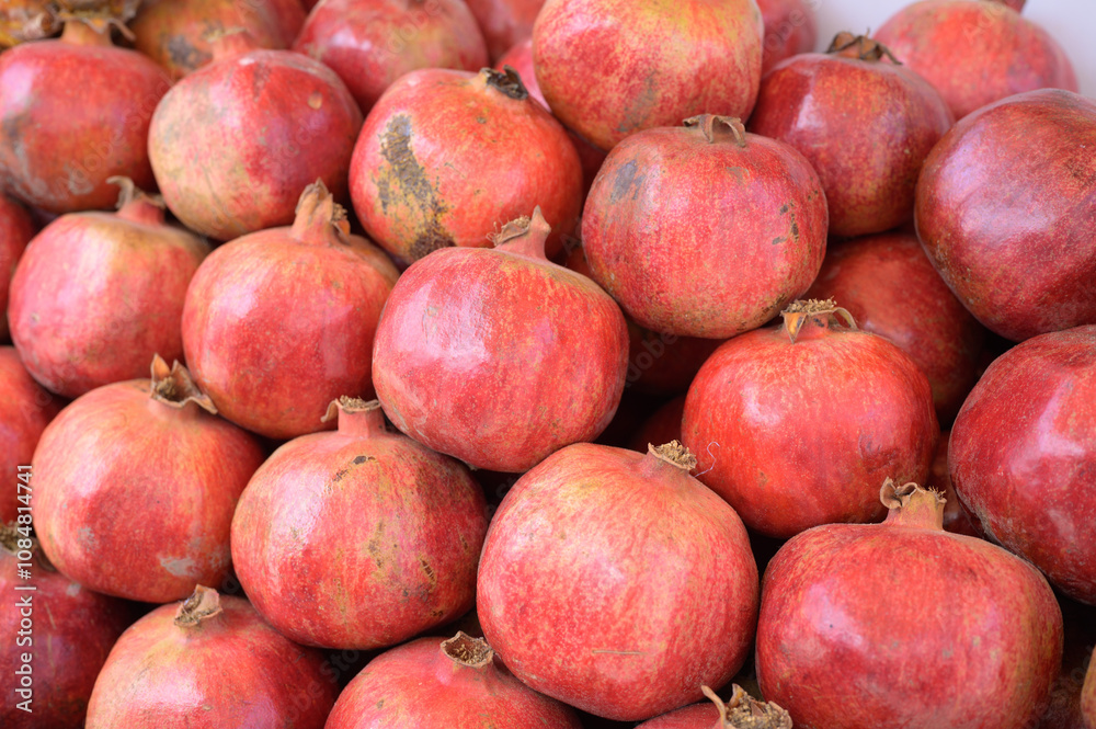 pomegranate pomegranate
