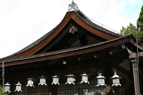 A tourist attraction in Japan. Kasuga Taisha Shrine in Nara City. The deer around Nara Park are considered messengers of the gods and are protected as a national natural monument.