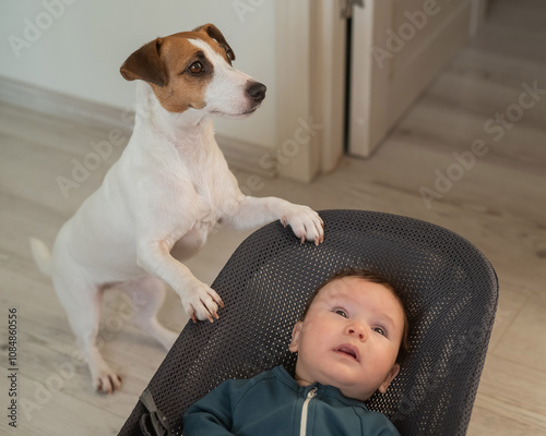 A dog rocks a cute three month old boy dressed in a blue onesie in a baby bouncer.  photo