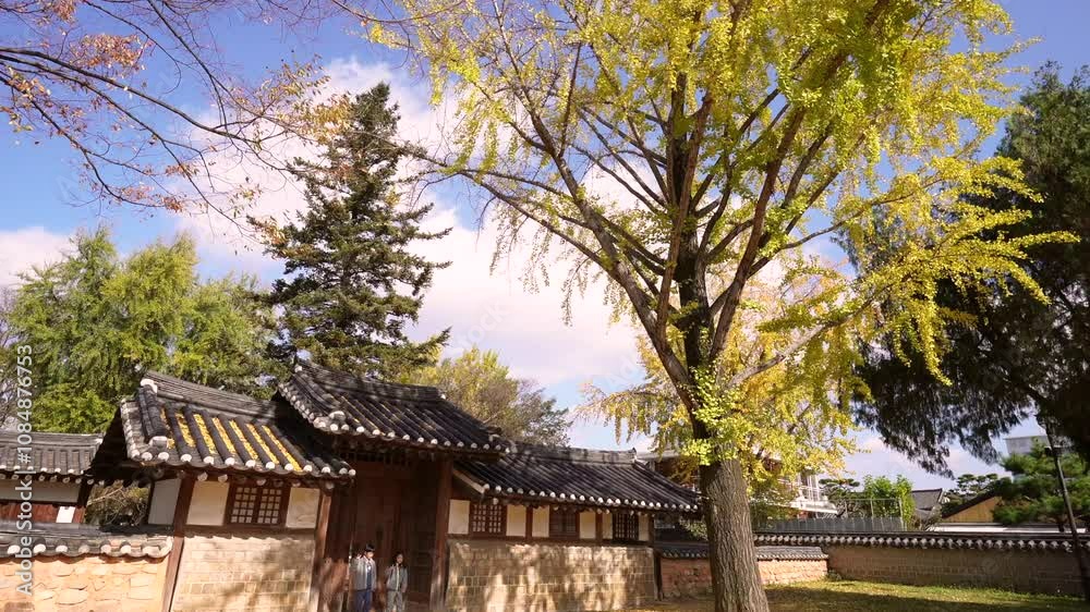 a traditional Korean building with a tiled roof and wooden gates surrounded by a serene garden. A golden ginkgo tree and lush greenery enhance the peaceful atmosphere under a bright blue sky. a traditional Korean building with a tiled roof and wooden gates surrounded by a serene garden. A golden ginkgo tree and lush greenery enhance the peaceful atmosphere under a bright blue sky.
