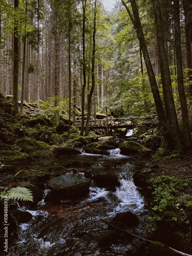 A tranquil forest in Vyšší Brod, South Bohemia, with a babbling stream and moss-covered stones. A wooden bridge crosses the water, adding rustic charm to the lush, peaceful scenery photo