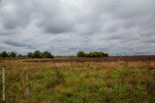 A vast grassy field stretches under a cloudy sky, while patches of trees can be seen in the distance, showcasing the beautiful colors of autumn. The scene is calm and serene.