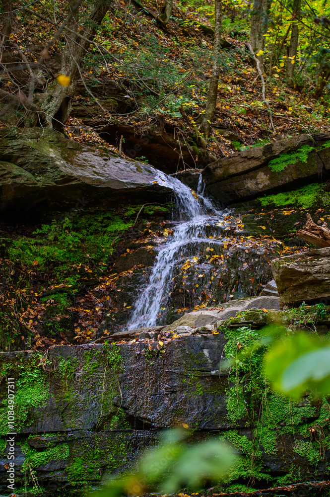 A Waterfall on the Four Mile Run Creek by the Turkey Path Trail in Leonard Harrison State Park, in Watson Township, Pennsylvania.