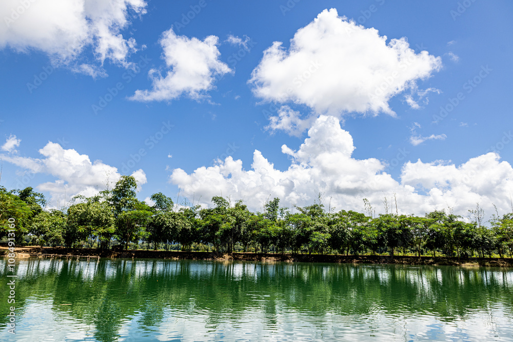 Obraz premium White clouds float in the sky, reflecting beautifully on the water's surface. Trees line the shore, creating a peaceful atmosphere. This photo was taken in Karen State, Myanmar in August.