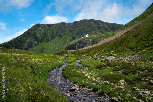 The valley of the Malaya Dukka River on the slopes of the Arkasar ridge in the North Caucasus and the tourist trail to the Dukka Lakes on a sunny summer day, Arkhyz, Karachay-Cherkessia, Russia photo