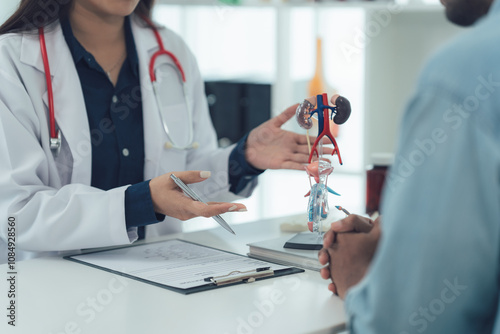 Doctor Explaining Kidney Anatomy Model 