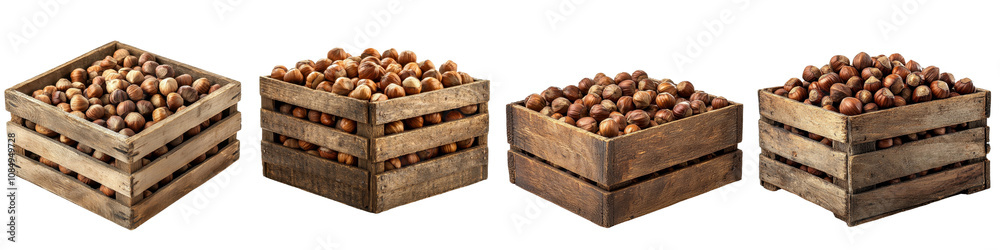 Hazelnuts in a wooden crate isolated on white background. Collection Set Png. Hazelnuts in a wooden crate isolated on white background. Collection Set Png.