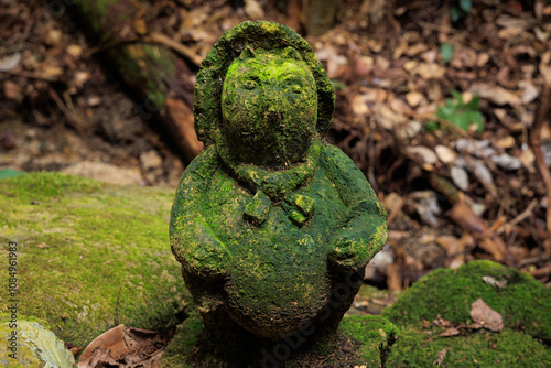 green moss on the stone