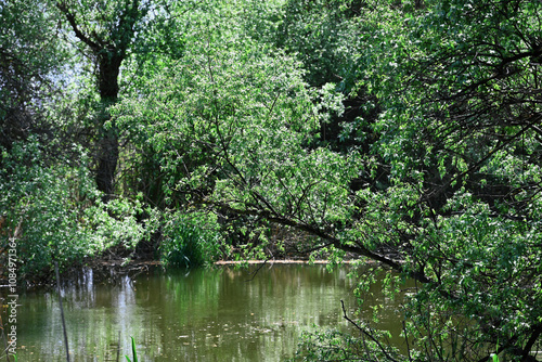 Quiet backwaters in the depths of the Volga River delta