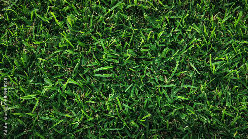 Green lawn with copyspace and flare. Generative AI Green lawn with copyspace and flare. Generative AI