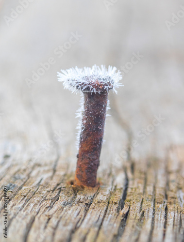 Old nails into a plank covered with frost.