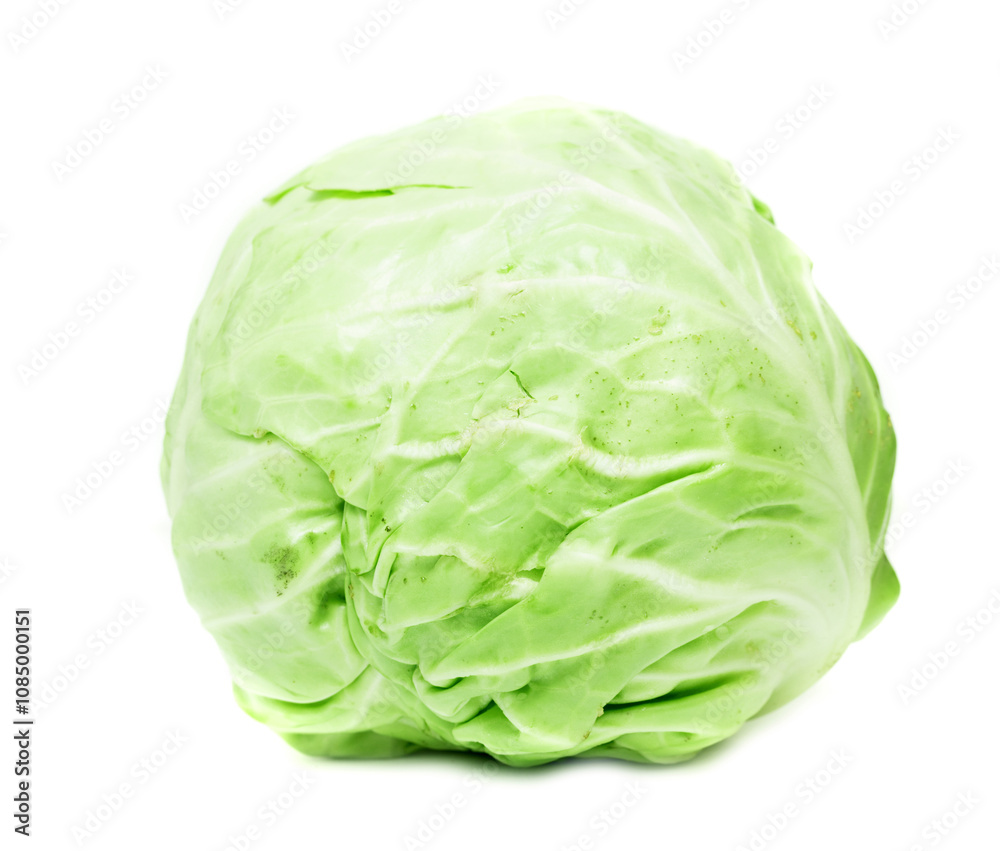 cabbage on a white background cabbage on a white background