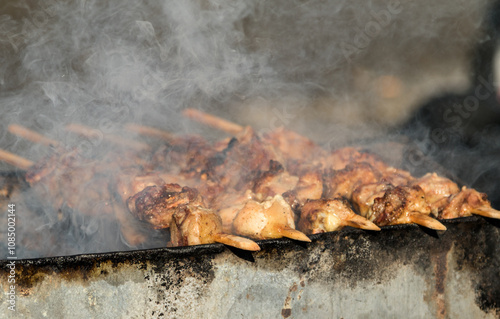 skewers of meat prepares outdoors photo