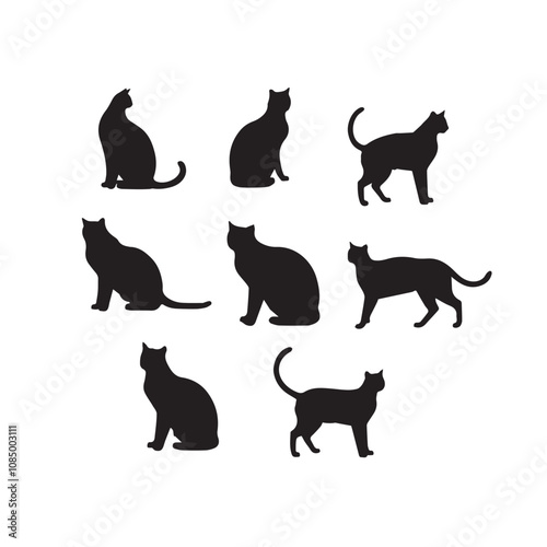 cat silhouette flat illustration