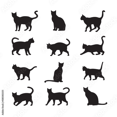 cat silhouette flat illustration