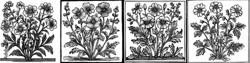 Medieval woodcut of a small bouquet of wild flowers