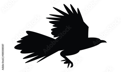 Crow Pheasant Silhouette Design  And Vector Illustration. 