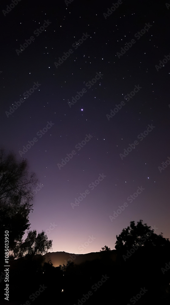 Naklejka premium Dreamy Starry Night Sky with Silhouette Background