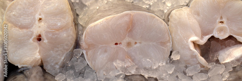 Panorama of fresh raw Conger Eel on a fishmongers stall at a market