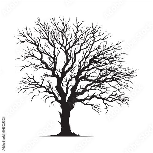 Bare tree vector. Silhouette of a dead tree vector icon. Bare dead tree silhouette isolated on a white background