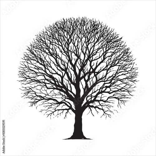 Bare tree vector. Silhouette of a dead tree vector icon. Bare dead tree silhouette isolated on a white background