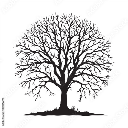 Bare tree vector. Silhouette of a dead tree vector icon. Bare dead tree silhouette isolated on a white background