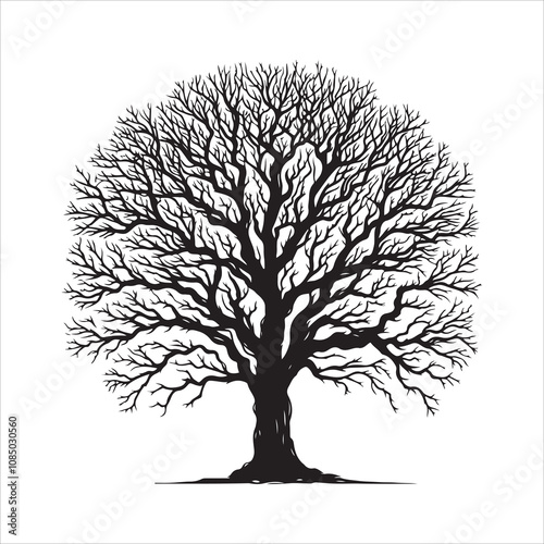 Bare tree vector. Silhouette of a dead tree vector icon. Bare dead tree silhouette isolated on a white background