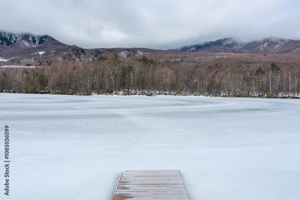 Obraz premium 凍りついた湖面の先に広がる白樺林