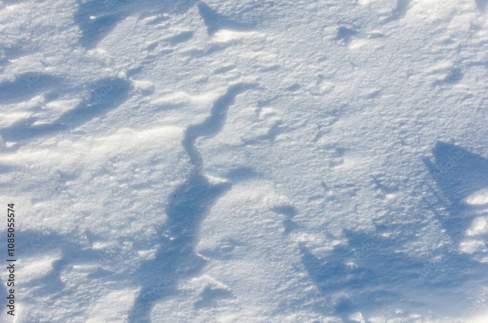 The snow is white and the ground is covered in it The snow is white and the ground is covered in it