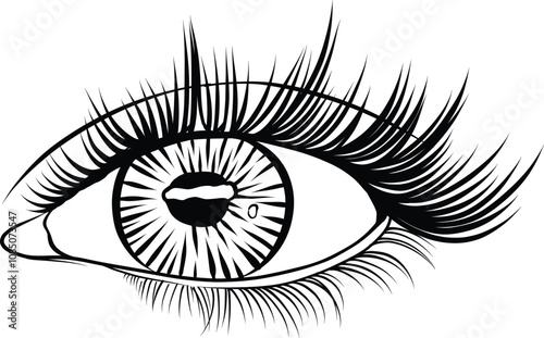 Hand drawn woman eye with eyelid, liner and full lashes. Beautiful Single eye. Vision logo design vector illustration