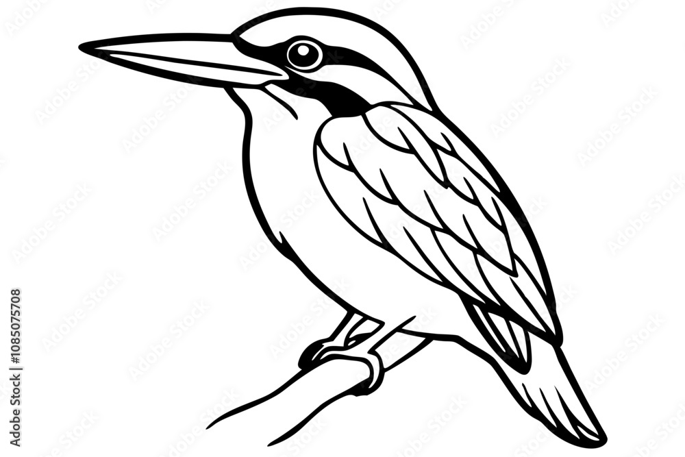 Fototapeta premium Black And White Kingfisher Bird Line Art, Kingfisher Bird Outline Illustration