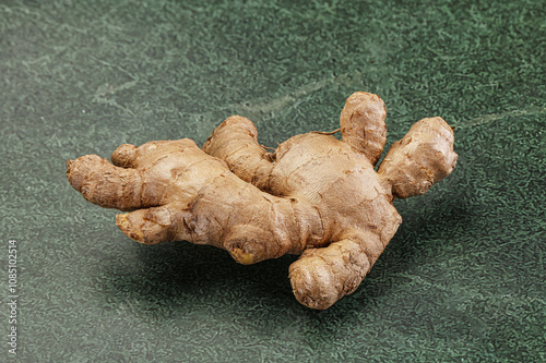 Ginger root for cooking and medicine photo