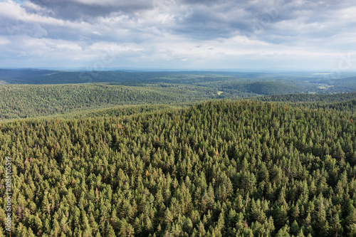 The Southern Urals, Bashkir State Nature Reserve. View of the Southern Kraka ridge in summer. Aerial view. photo