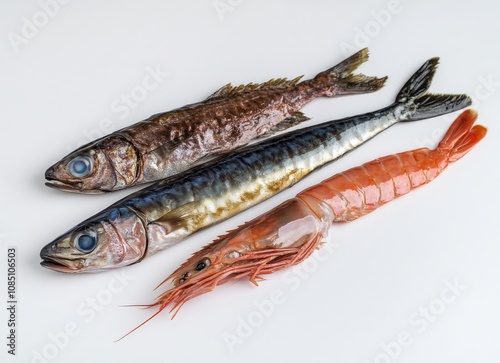 Fresh seafood assortment mackerel, black scabbardfish, and red prawn on a white background. High-quality image perfect for culinary websites, restaurant menus, or food blogs. photo