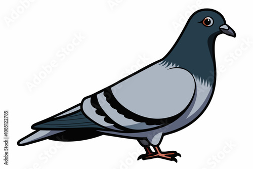 Colorful Pigeon Vector Illustration Isolated on White Background photo