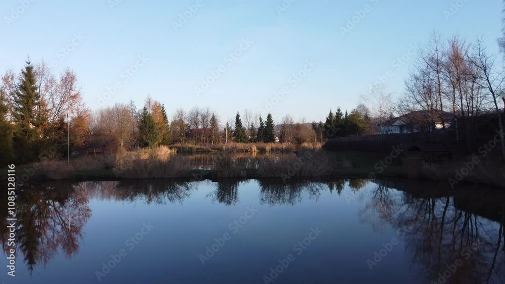 reflection of trees in the water lake pond reflection of trees in the water lake pond