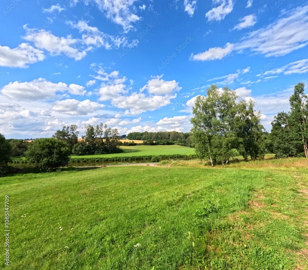 Field of grass, summer trip, travel photography from hiking. Sunny summer landscape with green meadow. Sun, blue sky and clouds, green nature with trees and plants. Field of grass, summer trip, travel photography from hiking. Sunny summer landscape with green meadow. Sun, blue sky and clouds, green nature with trees and plants.