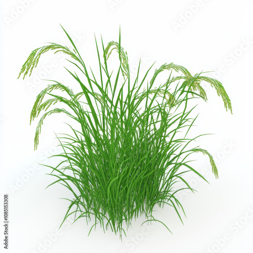 Hyper Realistic 3D Illustration of Rice Plant