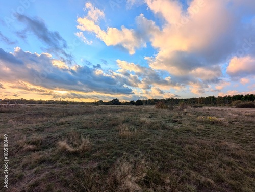 sunset over the field