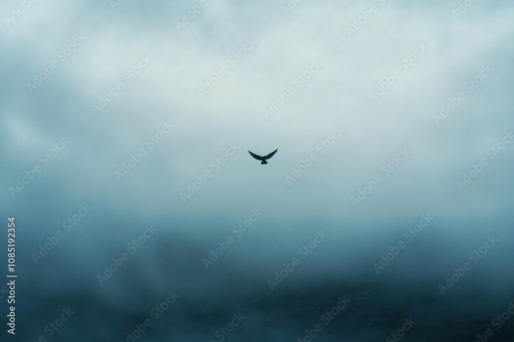 A solitary bird soaring through moody, overcast skies
