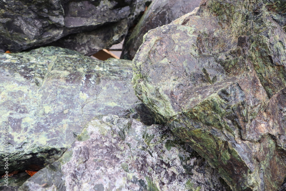 Discover Beautiful Natural Green Rocks for Use in Outdoor Decoration and Landscaping Purposes Discover Beautiful Natural Green Rocks for Use in Outdoor Decoration and Landscaping Purposes