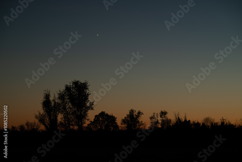 Row of trees in silhouette against a dramatic starry night at dusk in orange and gold colors, with black and dark copy space underneath