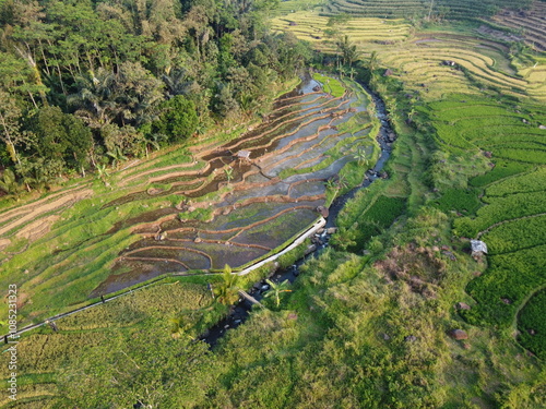 THE AMAZING BEAUTY OF GREEN AND LUSH TERRACING AT THE FOOT OF MOUNT UNGARAN, INDONESIA photo