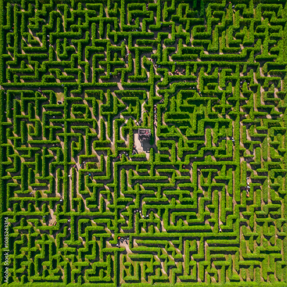Aerial view of people trying to find exit in a labyrinth garden at sunny day
